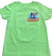 Kids - Toucan